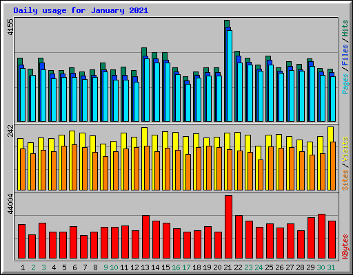 Daily usage for January 2021