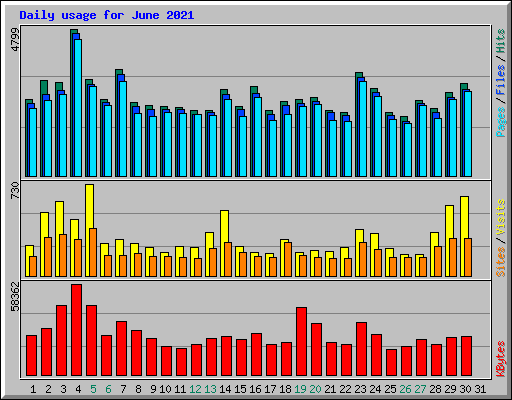Daily usage for June 2021