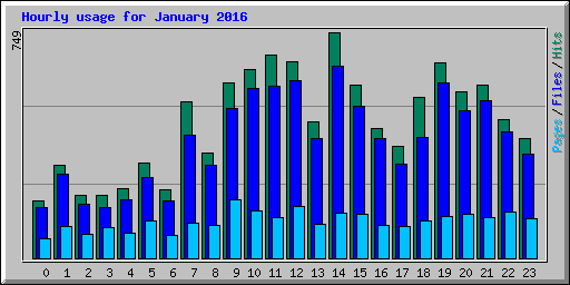 Hourly usage for January 2016