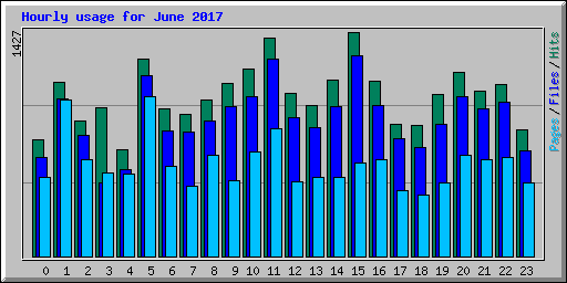 Hourly usage for June 2017