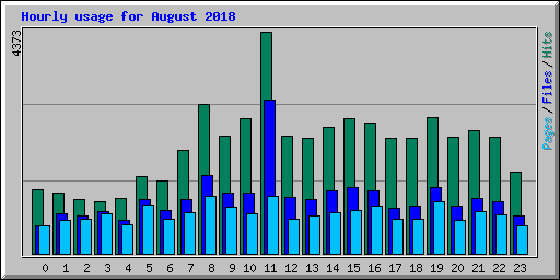 Hourly usage for August 2018