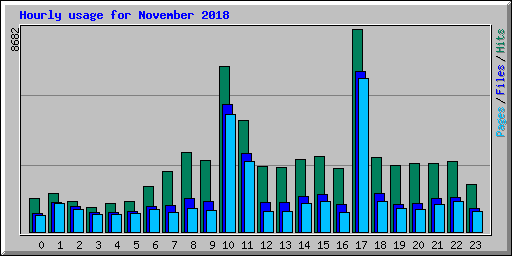 Hourly usage for November 2018