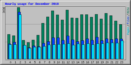 Hourly usage for December 2018