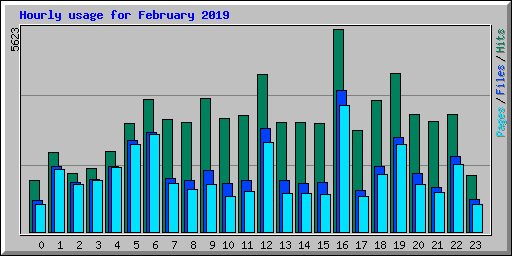 Hourly usage for February 2019