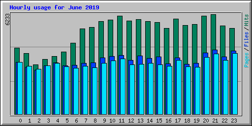 Hourly usage for June 2019