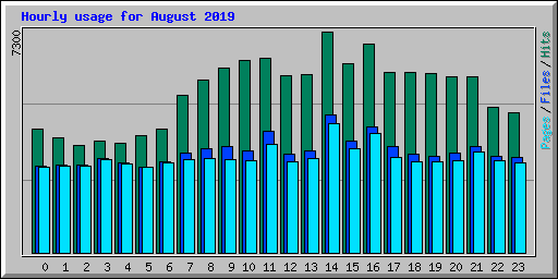 Hourly usage for August 2019