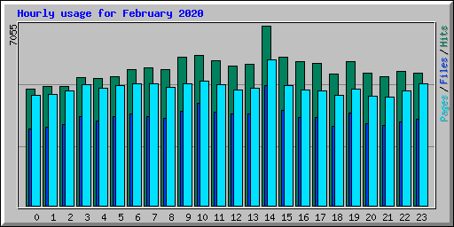 Hourly usage for February 2020