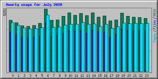 Hourly usage for July 2020