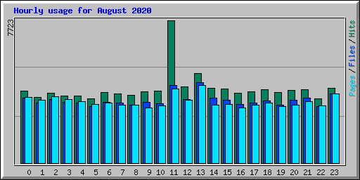 Hourly usage for August 2020