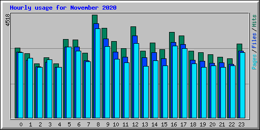 Hourly usage for November 2020