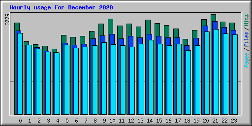 Hourly usage for December 2020