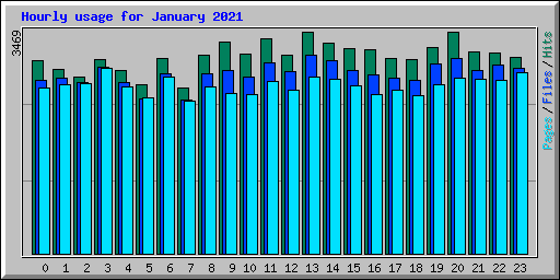 Hourly usage for January 2021