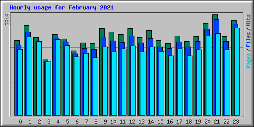 Hourly usage for February 2021