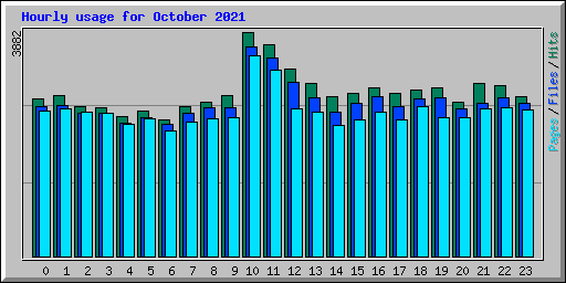 Hourly usage for October 2021