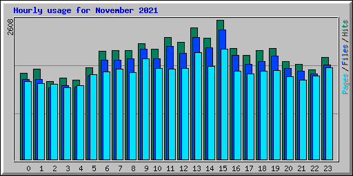 Hourly usage for November 2021