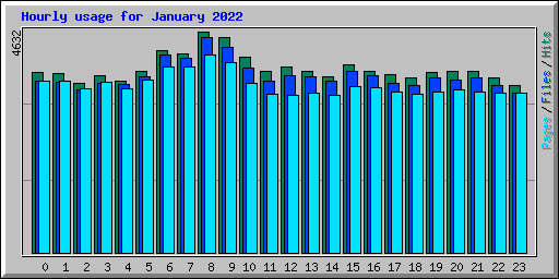 Hourly usage for January 2022