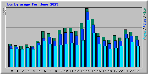 Hourly usage for June 2023