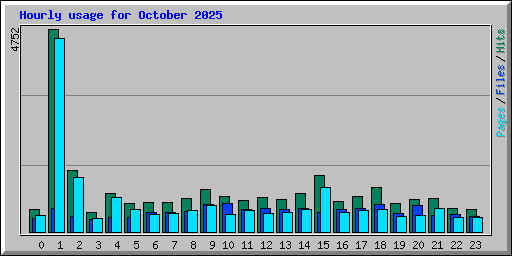 Hourly usage for October 2025