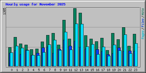 Hourly usage for November 2025