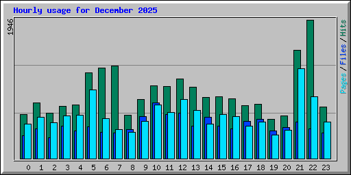 Hourly usage for December 2025