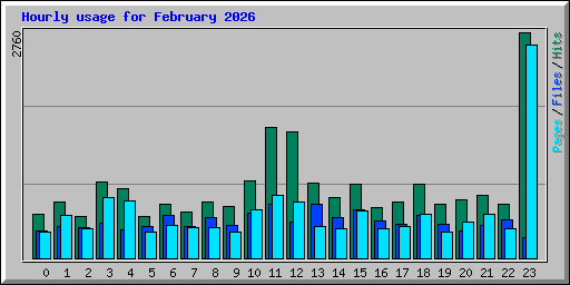 Hourly usage for February 2026