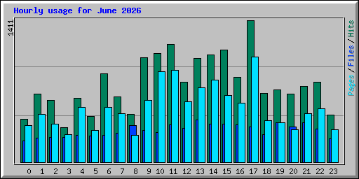 Hourly usage for June 2026