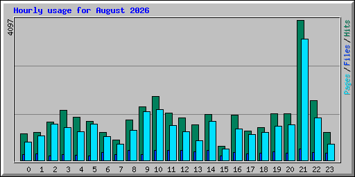 Hourly usage for August 2026
